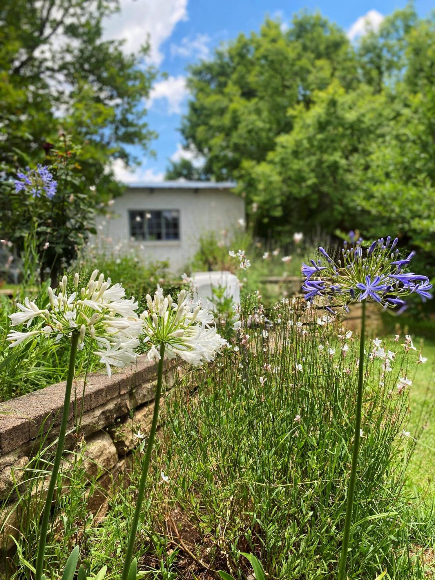 Collett House And Lavender Cottage คลาเรนส์ ภายนอก รูปภาพ