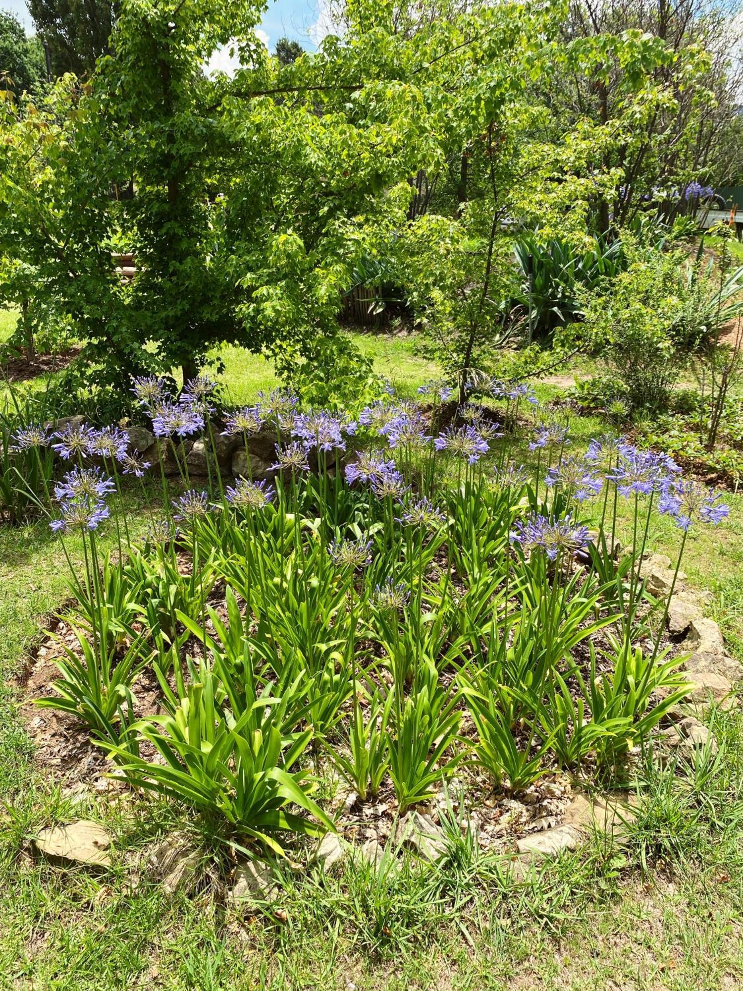 Collett House And Lavender Cottage คลาเรนส์ ภายนอก รูปภาพ